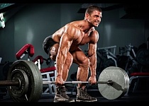 Ее любимые части тела