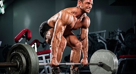 Ее любимые части тела